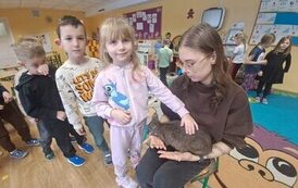 Dziewczynka głaszcząca kangurka