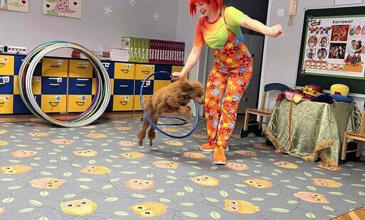Pies skaczący przez hula hop